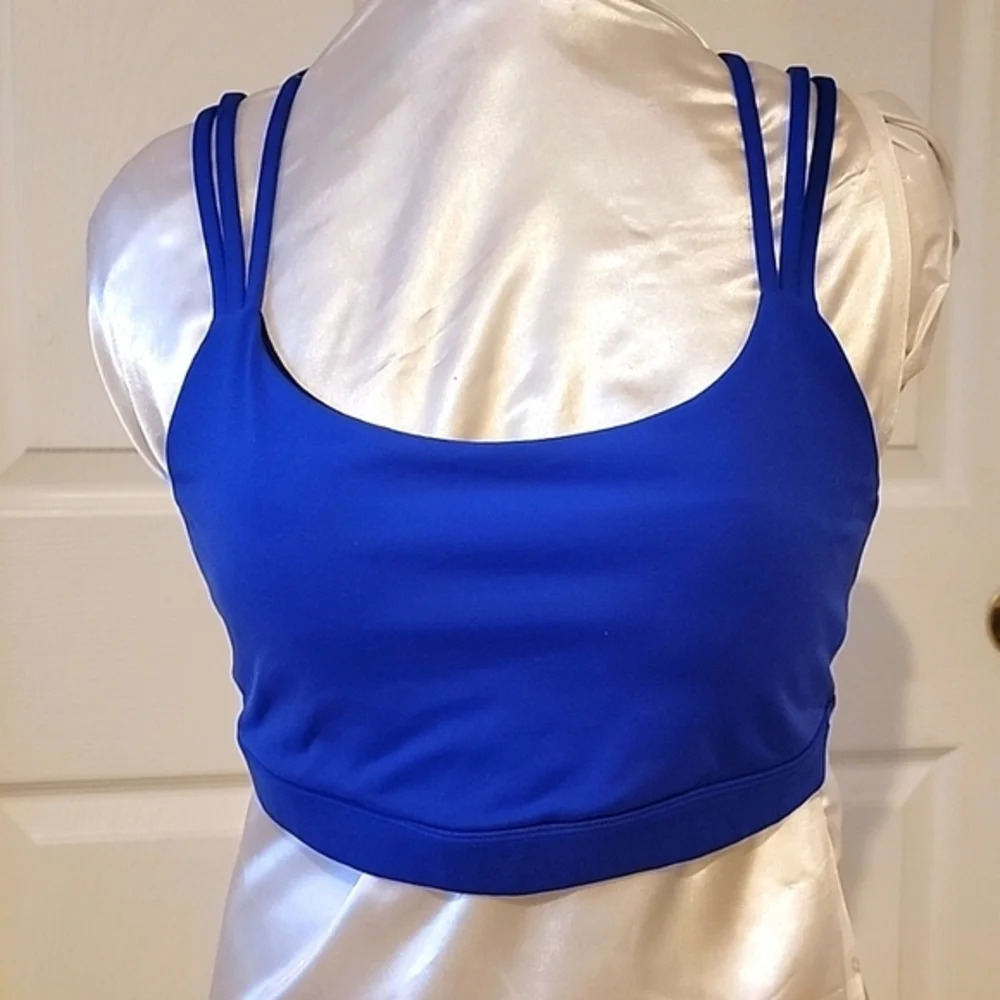 GAPFITโ GAP BLUE SPORTS BRA (sz lg)
